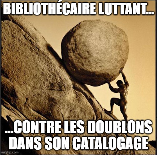 Bibliothécaire luttant contre les doublons